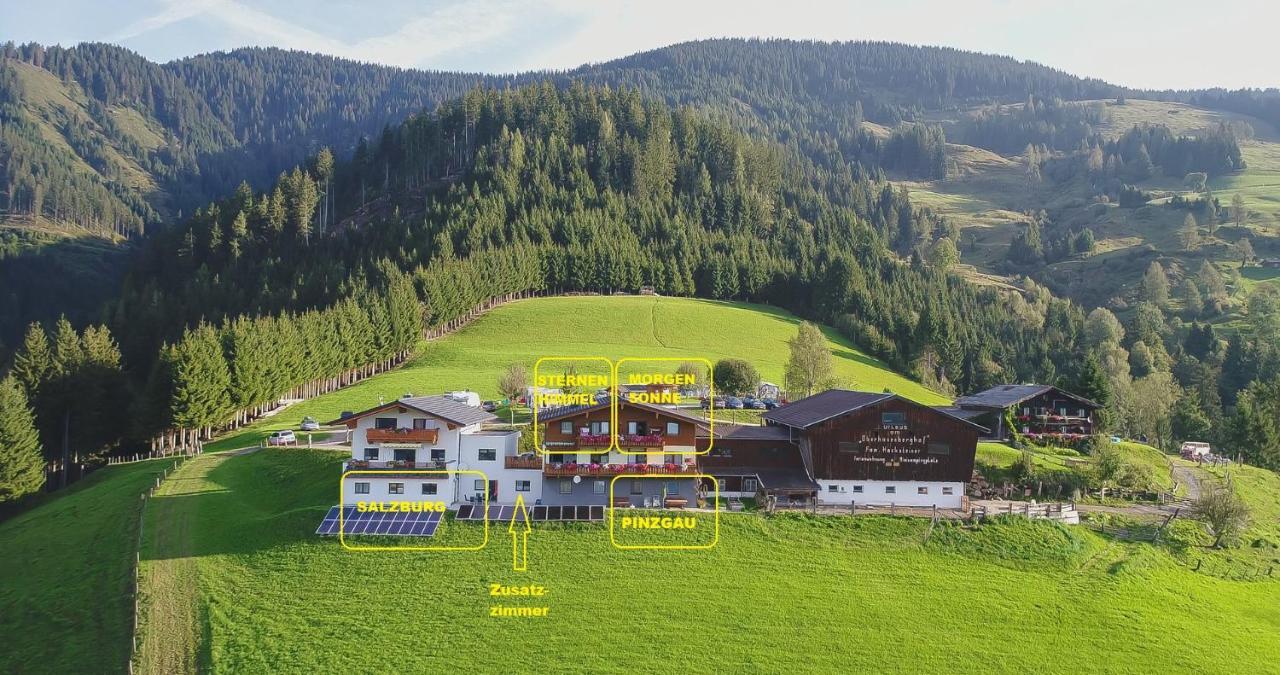 Villa Bergbauernhof Oberhasenberghof Taxenbach Esterno foto